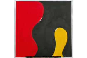 island-acryl-4